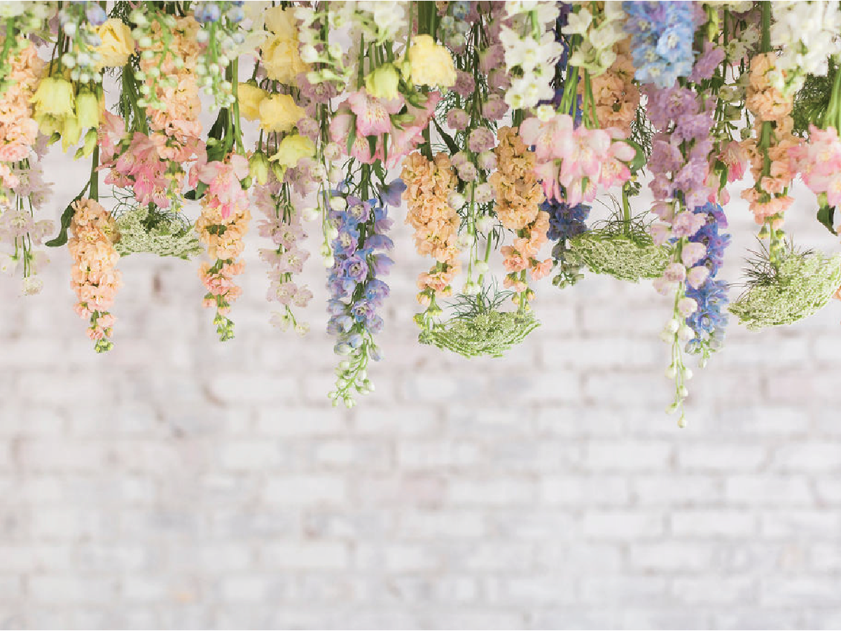 12 months: one Miss Milly product match for each month